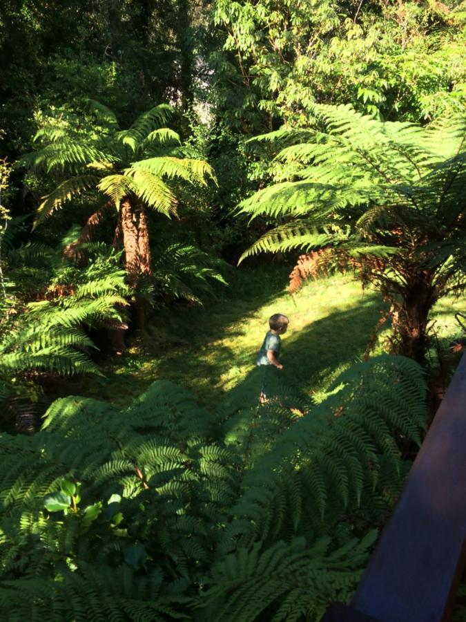 The Ferns Hideaway Franz Josef Exterior foto